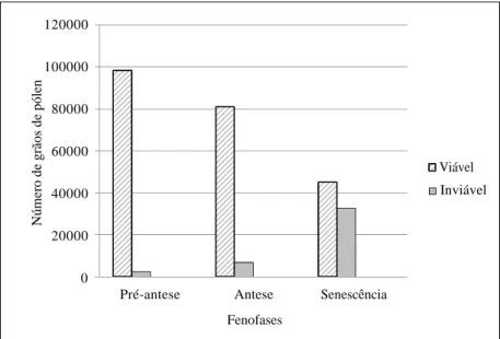 Figura 1 – Contagem do número de grãos de pólen viáveis e inviáveis das fenofases pré-antese, antese e senescência de flores de ‘lírio-de-São-José’ (Vitória da Conquista/BA, janeiro/2005).