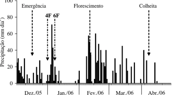 Figura 1 – Precipitação pluvial registrada na área do experimento, durante o período de dezembro de 2005 a abril de 2006, em Cassilândia (MS)