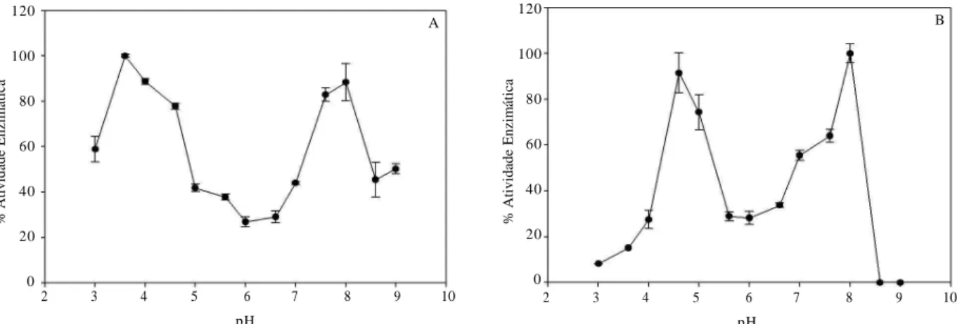 Figura 1 – Efeito do pH sobre a atividade de cisteíno proteases do extrato enzimático obtido do intestino médio de