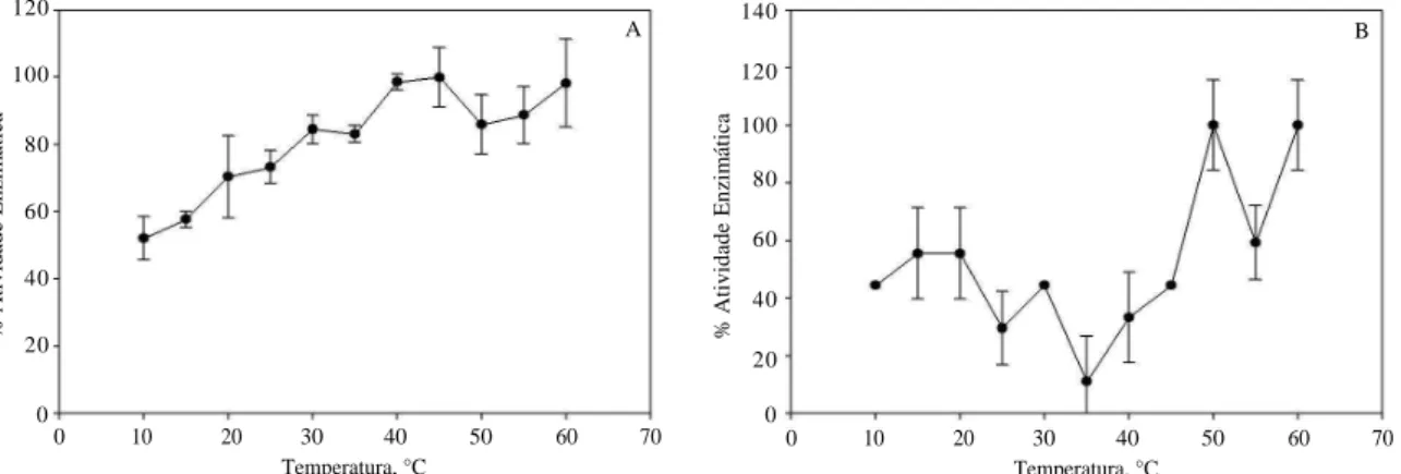 Figura 3 – Efeito da temperatura sobre a atividade de cisteíno proteases do extrato enzimático obtido do intestino médio de Anticarsia gemmatalis (Hübner, 1818)