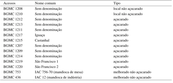 Tabela 1 – Acessos de mandioca açucarados e não açucarados analisados e seus respectivos nomes comuns.