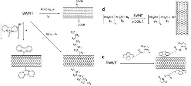 Figura  10  – Rotas  experimentais  propostas  para  diferentes  funcionaliza…Žes  covalentes:  (a)  adi…•o  de  carbeno, (b)  funcionaliza…•o  de  nitrenos,  (c)  adi…•o  fotoinduzida  de  radicais  fluoralquil,  (d)  enxerto  de  poliestireno e (e) adsor