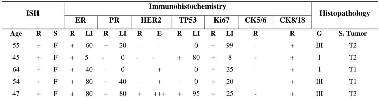 Table 1 - Pathological profile and protein expression of ER, PR, HER2, TP53, Ki67, CK5/6  and CK8/18 in EBV+ cases (n= 5)
