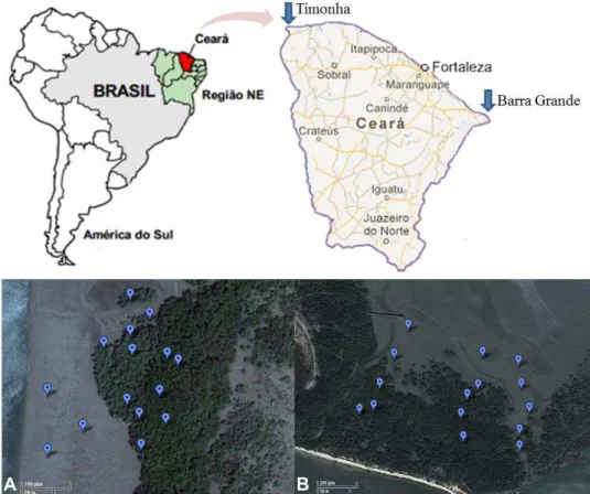 Figura 3 - Imagens de satélite mostrando os pontos de coleta de sedimentos nos manguezais de Timonha (A) e  Icapuí (B)