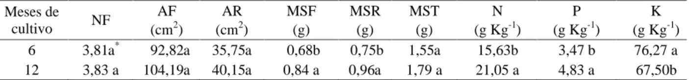 Tabela 4 – Número de folhas (NF), área foliar (AF), área superficial de raízes (AR), massa seca das folhas (MSF), massa seca das raízes (MSR) e massa seca total (MST) e teor foliar de fósforo (P) nas folhas de plantas Phalaenopsis RJ  84-2 aos seis e 184-2