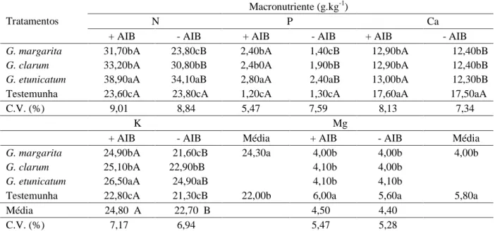 Tabela 3 – Conteúdo de macronutrientes (g.kg -1 ) na parte aérea (hastes e folhas) em plantas de pessegueiro da cv
