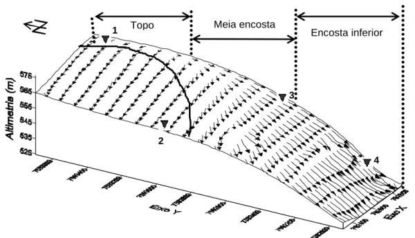 Figura 1 – Modelo de elevação digital mostrando os segmentos da encosta, os locais de amostragem dos pedons ( ), e vetores representando o caminhamento superficial (setas) e intensidade (tamanho da seta) dos fluxos de água