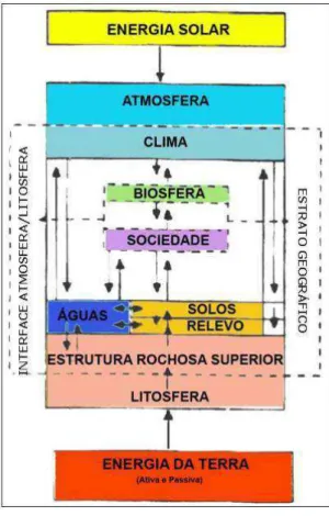 Figura 5: Fluxo de relações de componentes abiótico e bióticos 