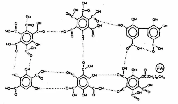 Figura 1. Modelo de estrutura de ácido fúlvico proposto por Schnitzer (1978). 