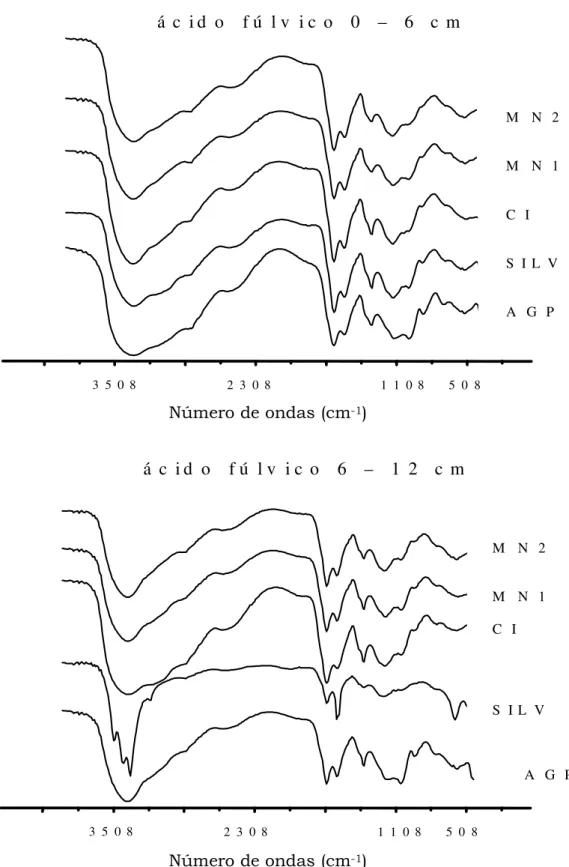 Figura  9.  Espectros  de  absorbância  no  infravermelho  das  frações  ácidos  fúlvicos  extraídos  do  Luvissolo  sob  os  tratamentos  Agrossilvipastoril  (AGP),  Silvipastoril  (SILV), Cultivo Intenso em Pousio(CIP), Mata Nativa 1 (MN1) e Mata  Nativa