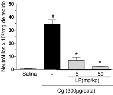 Figura  5:  Fração  proteica  do  látex  de  Calotropis  procera  (LP) reduz  migração  de neutrófilos induzida por carragenina (Cg) na pata de camundongos
