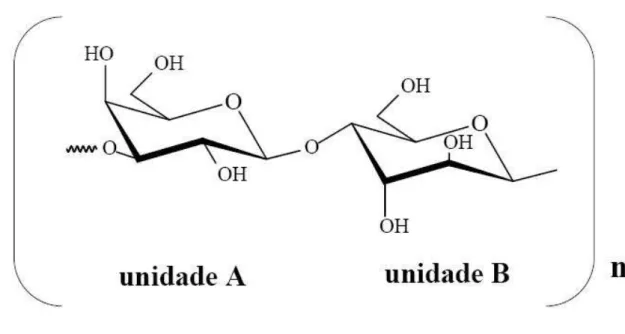 Figura 1. Estrutura química básica de galactanas tipo agarana.