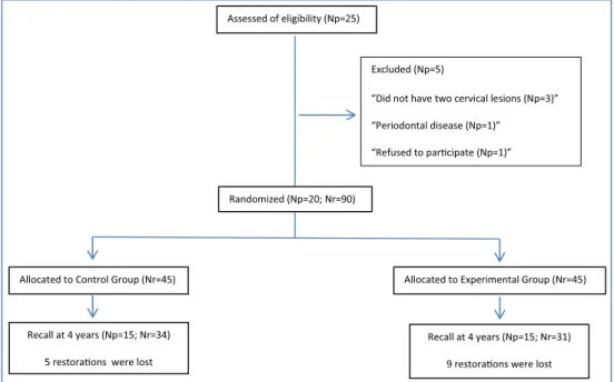 Fig. 1 Flow diagram. Np number of patients, Nr number of restorations