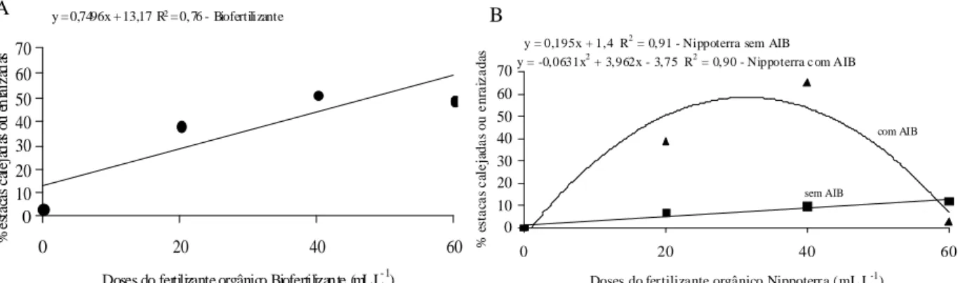 Figura 3 – Porcentagem de estaca calejadas ou enraizadas de oliveira ‘Ascolano 315’, tratadas ou não com AIB e submetidas à aplicação de diferentes dosagens dos fertilizantes orgânicos Biofertilizante (A) e Nippoterra (B)