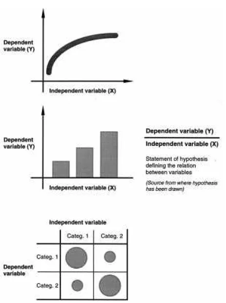 Figure 5. Basic models proposed for the graphic representation of hypotheses are shown in the following order (from top to bottom): line graphs, bar graphs, and graphical matrices.