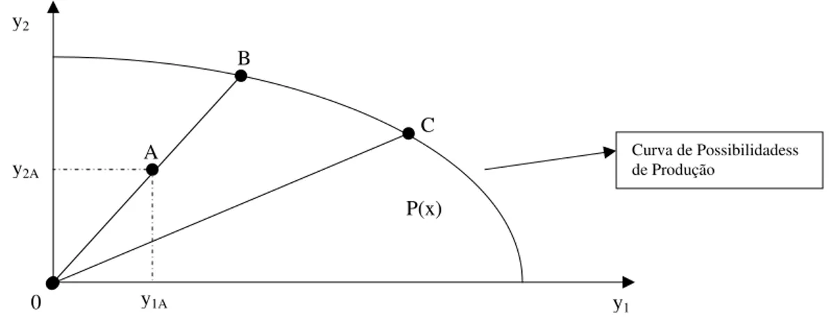 Gráfico .1: Função Distância por Produto e Curva de Possibilidades de Produção  2.3 Modelo Envoltório de Dados com Retorno Constante de Escala 
