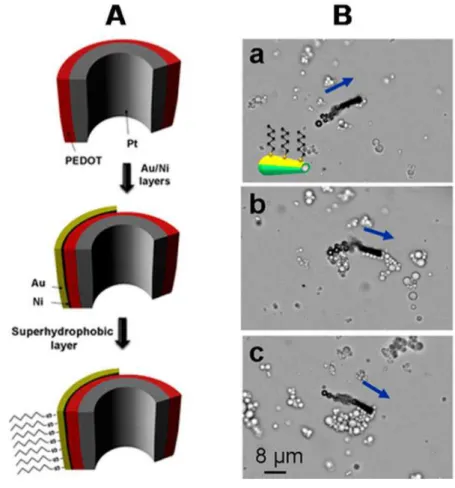 Figure 1.4: An example of a self-propelled micromachine for the removal of oil droplets.