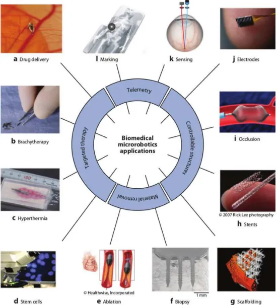 Figure 1.5: Biomedical microrobots applications, relating with its fundamentals branches: