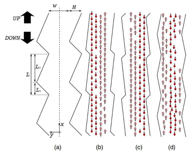 Figure 1.8: Different rectification patterns of pedestrian flows for (a) a channel of depth H and width W ; (b-d) Typical snapshots for rectified motion induced by different patterns of channel boundaries