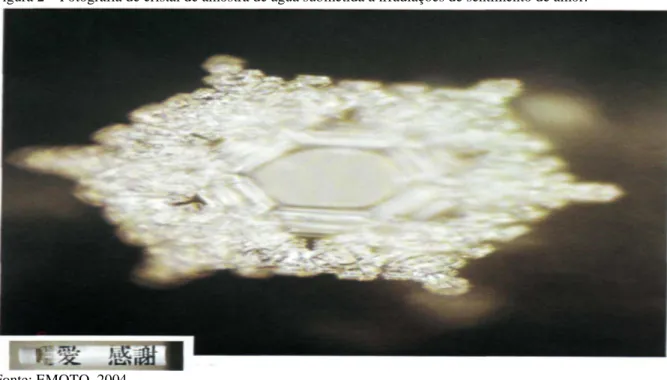 Figura 2 – Fotografia de cristal de amostra de água submetida a irradiações de sentimento de amor