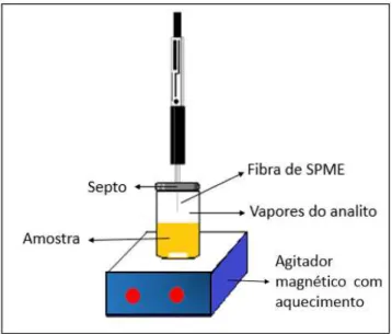 Figura  3  –   Representação  da  extração  dos  compostos  voláteis  da  polpa  de  mamão  pela  técnica  de  microextração  em  fase  sólida  do  headspace (HS-SPME)