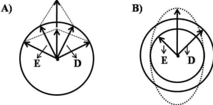 FIGURA 8  –  Representação esquemática do fenômeno de dicroísmo circular. Os  dois  componentes  circularmente  polarizados  da  luz  plano  polarizada  (E-esquerdo  e   D-direito)
