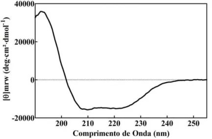 FIGURA  9  –   Espectro  de  dicroísmo  circular  para  a  FixL-Fe 2+   (deoxi)  na  região  do  espectro  entre  190  e  240  nm,  cubeta  com  caminho  ótico  de  0,1  cm,  proteína  na  concentração de 1 µmol L -1 , velocidade de varredura de 100 nm/min