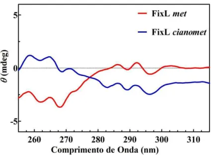 FIGURA 11 - Espectro de dicroísmo circular na região do ultravioleta próximo (near- (near-UV)  para  FixL  na  forma  met  (FixL-Fe 3+ )  e  na  forma  cianomet  (FixL-Fe 3+ – CN - )