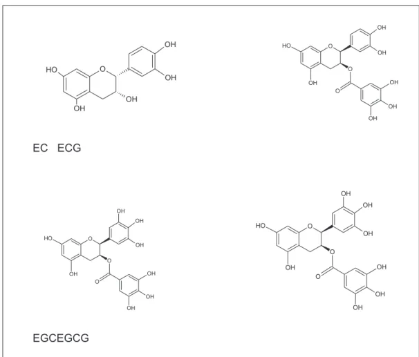 Figura 2.  Epicatequina  (EC),  Epicatequinagalato  (ECG),  Epigalocatequina  (EGC),  Epigalocatequinagalato (EGCG)