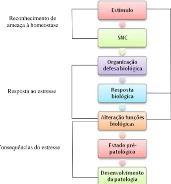 Figura 1 - Modelo de respostas biológicas do animal ao estresse (MOBERG, 1999). 