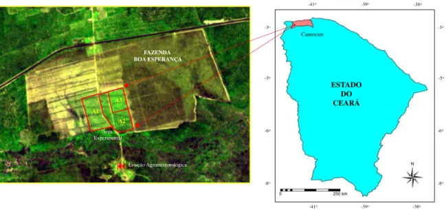 Figura  1  -  Localização  da  área  cultivada  com  a  cultura  do  coqueiro  anão  na  fazenda  Boa  Esperança,  da  empresa  comercial  Ducoco,  no  município  de  Camocim,  estado  do  Ceará,  Nordeste do Brasil 