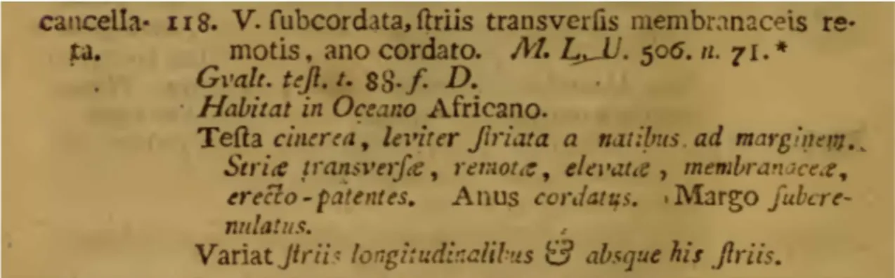 Figura  3  –  Descrição  original  (em  latim)  da  espécie  Chione  cancellata  feita  primeiramente  no  gênero  Venus