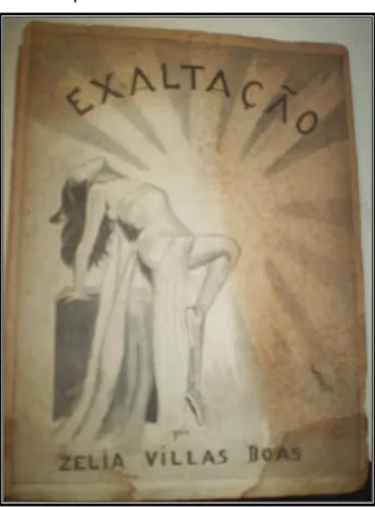 Figura 05 - Capa do livro Exaltação, de Zélia Villas Boas.  