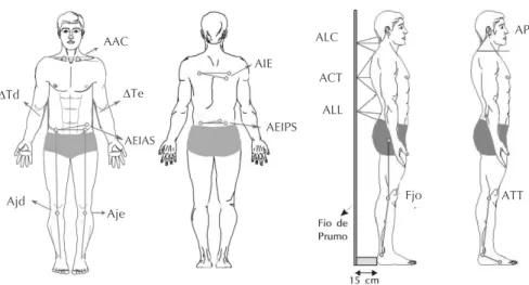 Figura 1    Ângulos avaliados na vista anterior e posterior: AAC = ângulo acrômio