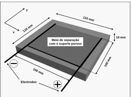 Figura 1: Representação gráfica da célula eletroquímica. 