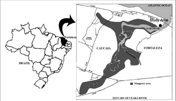 Figure 2 - Study area in the Ceará River estuary, Ceará State (adapted from Barroso &amp; Matthews-Cascon, 2009).
