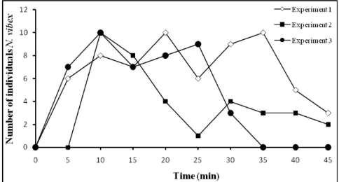 Figure 4 - Graph of the number of Nassarius vibex attracted to the food versus time (min).