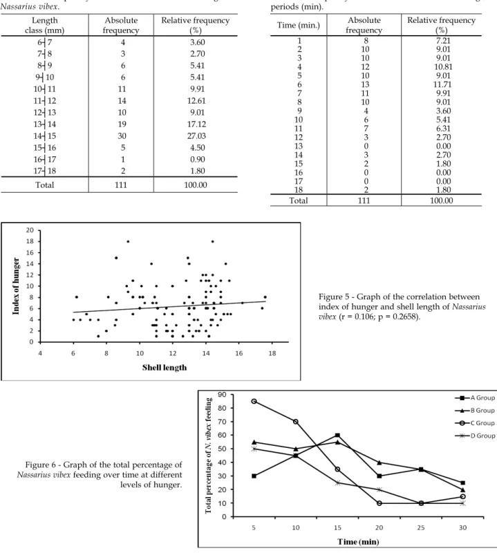 Table  III  -  Frequency  distribution  of  the  shell  length  of   Nassarius vibex.