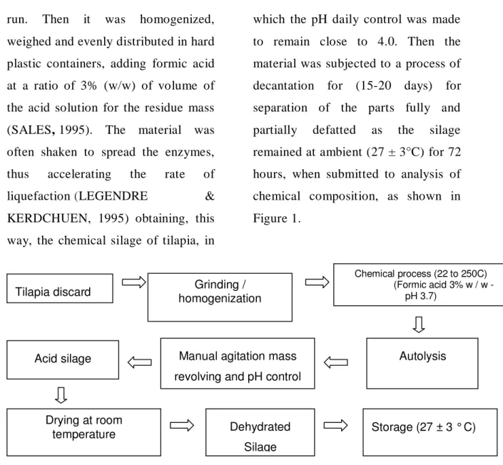 Figure 1. Flowchart processing for preparation of Nile tilapia acid silage 