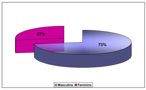 Gráfico 13: Sexo dos participantes. Consolidado pesquisa internet e agências 