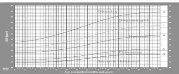 Figura 01 – Tabela de escore z, IMC para faixa etária de 5 a 19 anos, sexo feminino   (WHO, 2007).