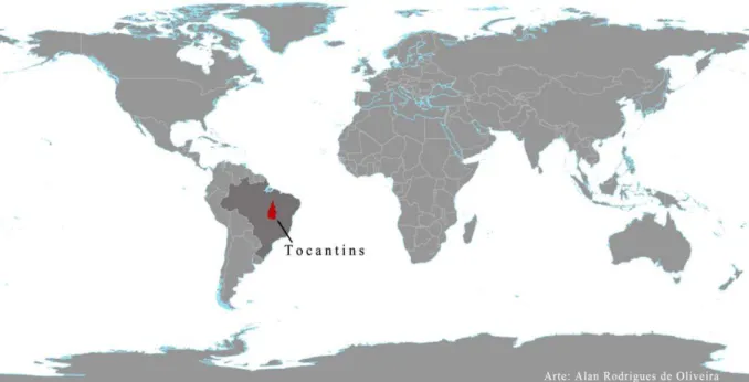 Figura 15  -  Tocantins no mundo. Adaptação fornecida por Alan Rodrigues de Oliveira na internet em 2011  (OLIVEIRA, A., 2011)  