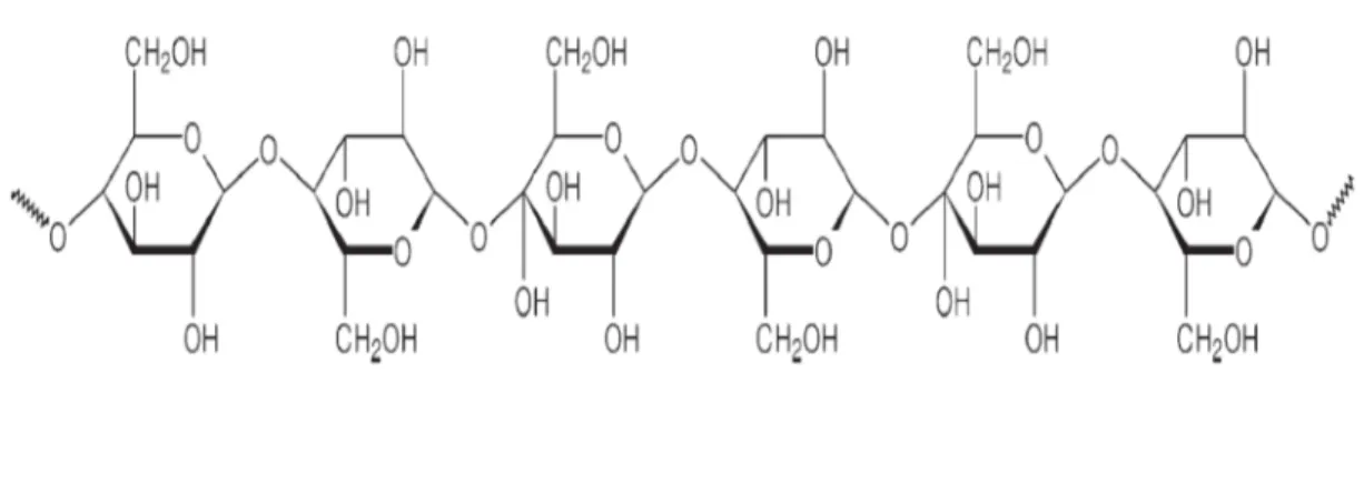 Figura 3 -  Molécula de Celulose 