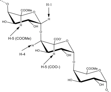 Figura 5 - Representação esquemática da cadeia de ácido poligalacturônico com destaque para  os  hidrogênios  um  (H-1)  e  hidrogênios  cinco  (H-5)  adjacentes  a  grupos  carboxílicos  metil  esterificados e livres