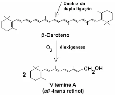 Figura 2. Biossíntese de vitamina A (MATHEWS; VAN HOLDE, 1995). 