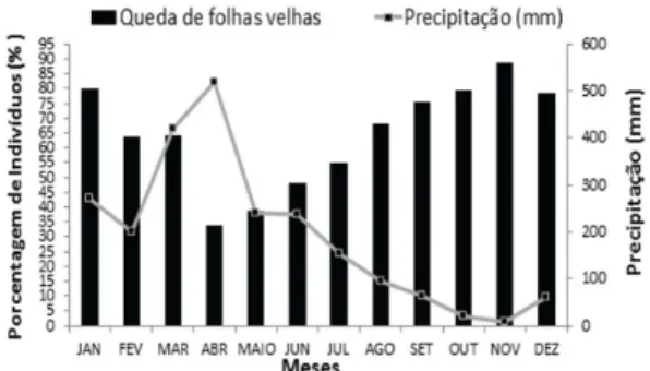 Figura 3.  Porcentagens mensais de indivíduos de  Attalea maripa (inajá) com queda de folhas velhas no  período de agosto de 2009 a dezembro de 2011, em  sistema silvipastoril, no município de Bonito, PA.