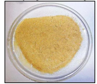 Figura 4- Casca de Maracujá com granulometria inferior ou igual a 50 micrometros. 