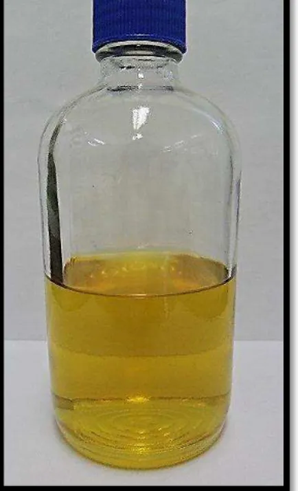 Figura 6-Extrato obtido utilizando ESP, na proporção 70:30 de etanol/água, respectivamente.