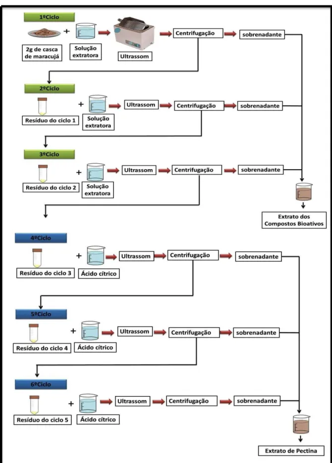 Figura 7- Fluxograma da extração assistida por ultrassom.