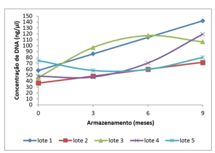 Gráfico 1.  Quantificação de DNA (ng/µl) de sementes de Ocotea puberula, pelo espectrofotômetro NanoDrop  .